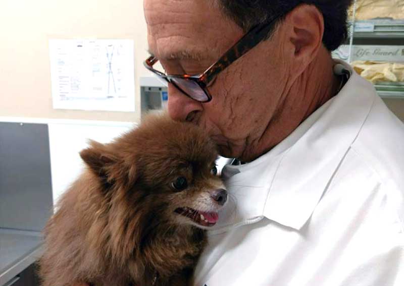 Carousel Slide 5: Meet our veterinary team